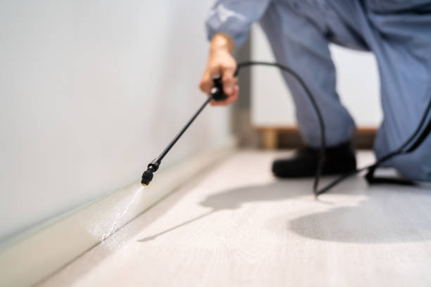 Certified termite inspector examining foundation in Dover Base Housing